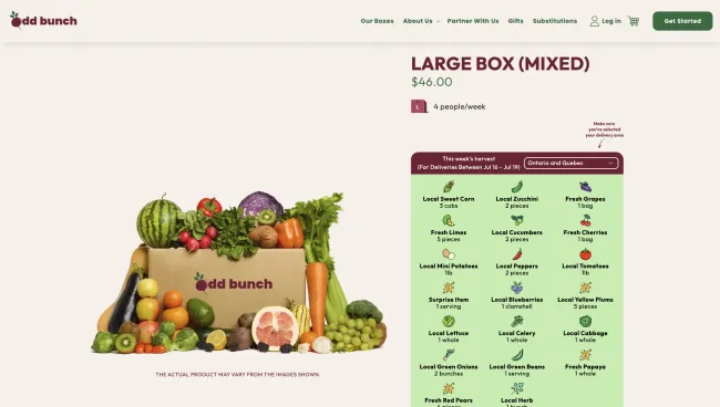 A refreshed and modernized website experience for oddBunch