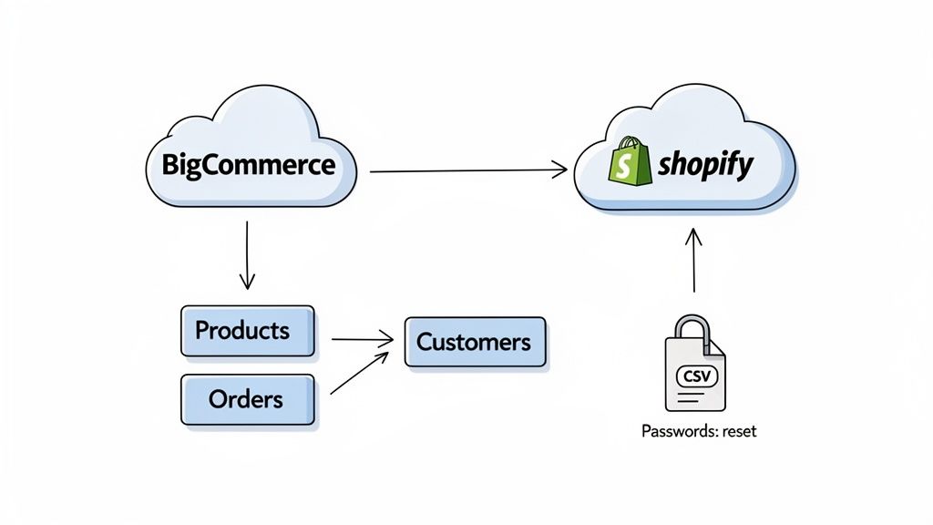 Diagram illustrating BigCommerce to Shopify migration, showing data flow of products, orders, customers, and password reset.